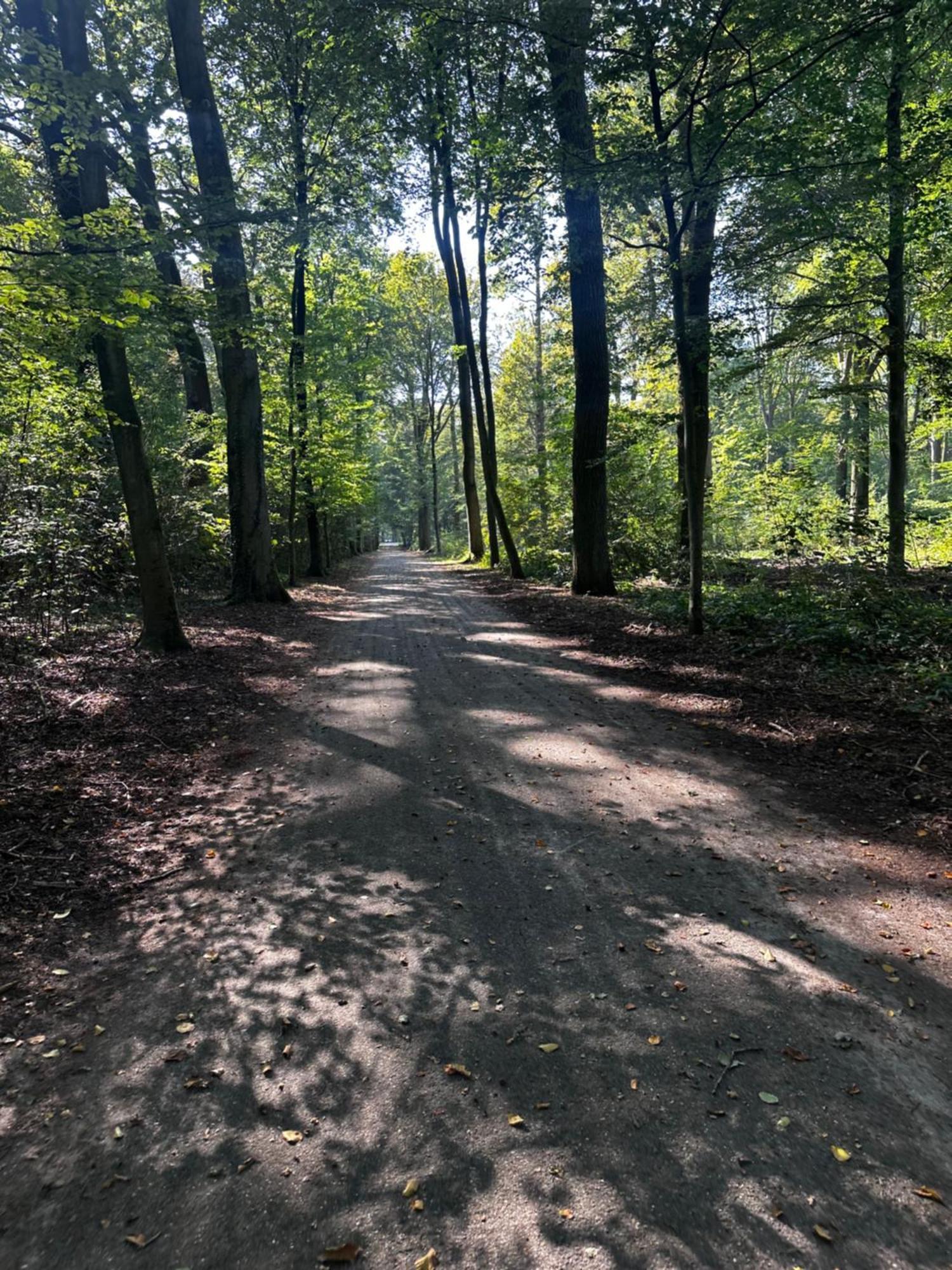 Chalet In Het Bos - Gezin - Wandelaars - Digital Nomads - Hs Wifi - Fijnspar 108 Aan de Wolfsberg Extérieur photo
